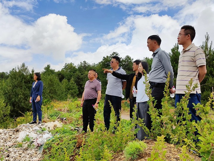 【主题教育】云煤（KU酷游官网）集团专职表部董事寸延峰，集团党委委员、财政总监莫晓丹到马厂煤矿、汉家厂煤矿、竹麻地煤矿发展主题教育调研