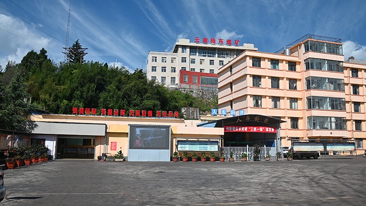 【基层党建幼隐语】强化党建引领，推动融合中心工作提质增效