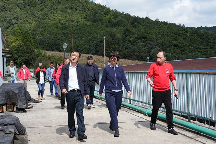 云南省国资委党委委员、副主任夏丽坤一行到云煤集团所属恩洪煤业公司发展示场督导调研